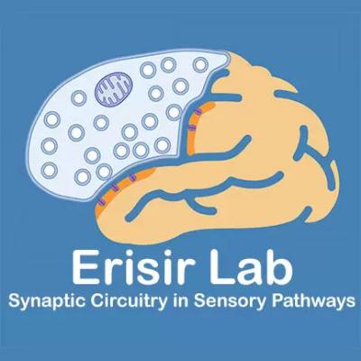 Erisir Lab