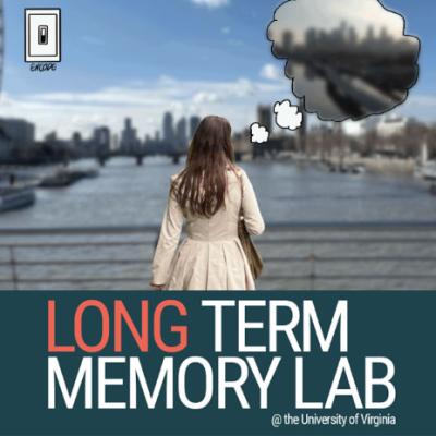 Long Term Memory Lab