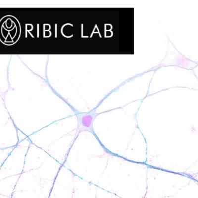 Ribic Lab